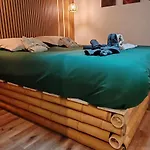 Jungle - Sauna, Jacuzzi, Cinema - Hyper Centre *