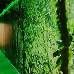 Jungle - Sauna, Jacuzzi, Cinema - Hyper Centre Lägenhet Troyes