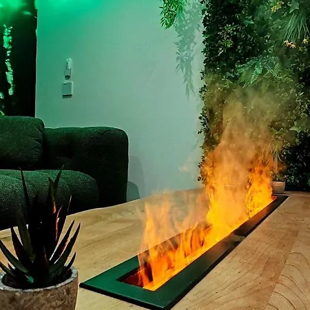 Appartement Jungle - Sauna, Jacuzzi, Cinema - Hyper Centre