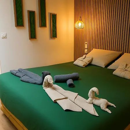Appartement Jungle - Sauna, Jacuzzi, Cinema - Hyper Centre Troyes