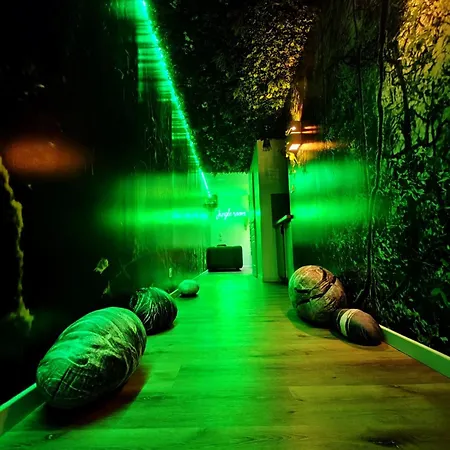 Appartement Jungle - Sauna, Jacuzzi, Cinema - Hyper Centre Troyes