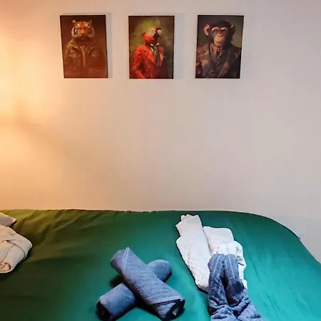 Jungle - Sauna, Jacuzzi, Cinema - Hyper Centre Apartment