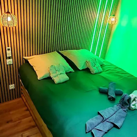 Jungle - Sauna, Jacuzzi, Cinema - Hyper Centre Apartment Troyes