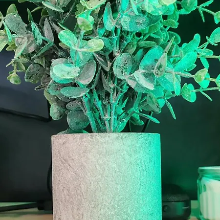 Apartment Jungle - Sauna, Jacuzzi, Cinema - Hyper Centre *