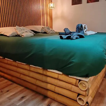Jungle - Sauna, Jacuzzi, Cinema - Hyper Centre *