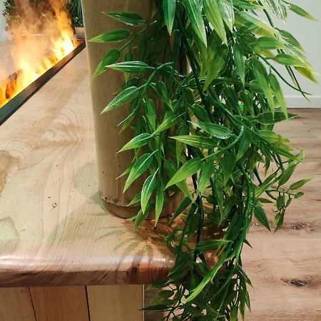 Jungle - Sauna, Jacuzzi, Cinema - Hyper Centre Apartment