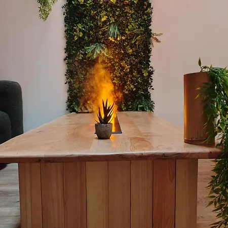 Jungle - Sauna, Jacuzzi, Cinema - Hyper Centre Troyes