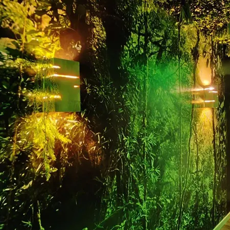 Jungle - Sauna, Jacuzzi, Cinema - Hyper Centre