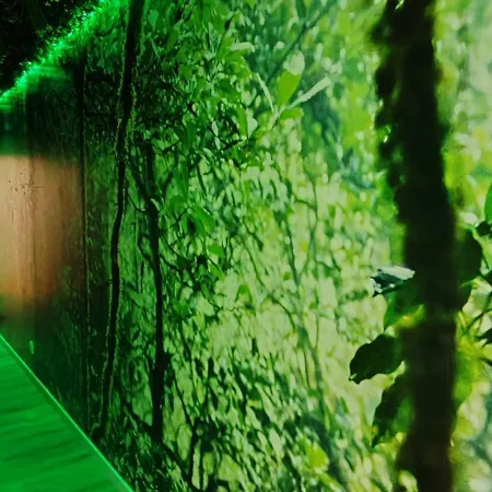 Jungle - Sauna, Jacuzzi, Cinema - Hyper Centre Appartement Troyes