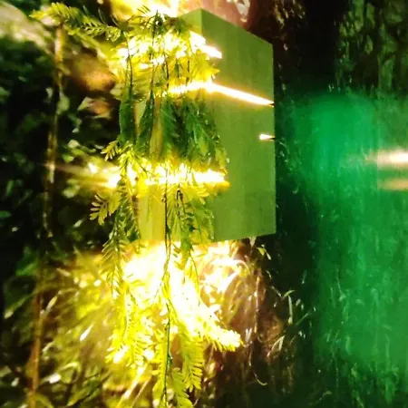 Appartement Jungle - Sauna, Jacuzzi, Cinema - Hyper Centre *