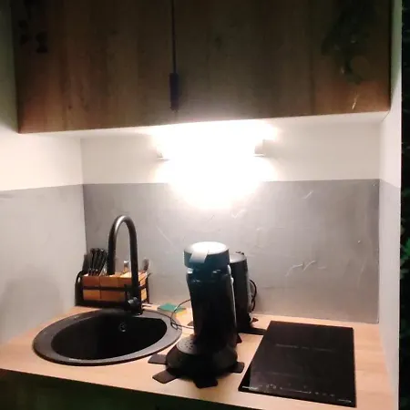 Jungle - Sauna, Jacuzzi, Cinema - Hyper Centre Apartment Troyes