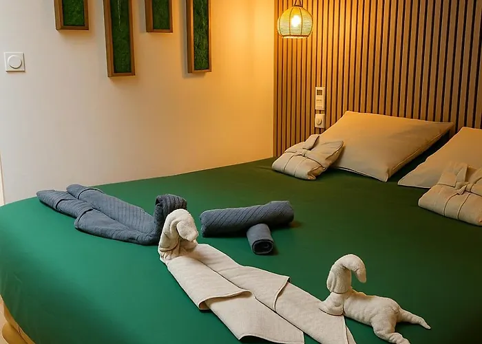 Apartment Jungle - Sauna, Jacuzzi, Cinema - Hyper Centre Troyes