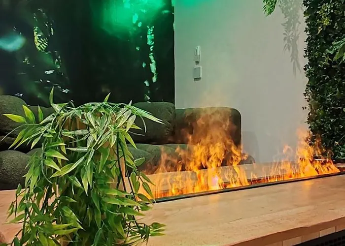 Jungle - Sauna, Jacuzzi, Cinema - Hyper Centre Troyes