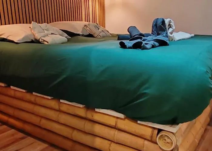 Jungle - Sauna, Jacuzzi, Cinema - Hyper Centre *