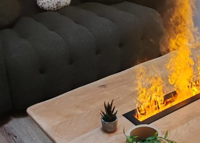 Jungle - Sauna, Jacuzzi, Cinema - Hyper Centre * Troyes