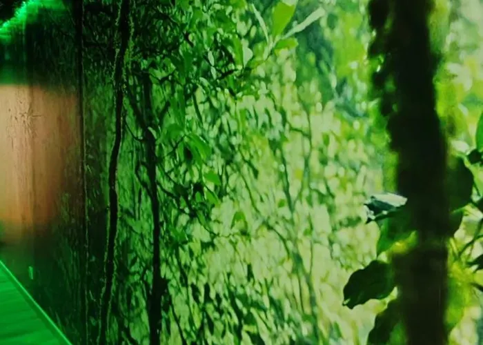 Jungle - Sauna, Jacuzzi, Cinema - Hyper Centre Apartment Troyes