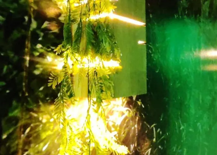 Apartment Jungle - Sauna, Jacuzzi, Cinema - Hyper Centre *