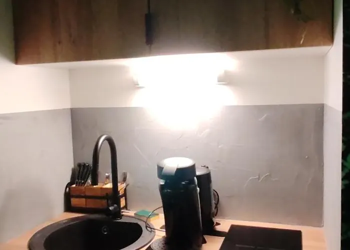 Jungle - Sauna, Jacuzzi, Cinema - Hyper Centre Apartment Troyes